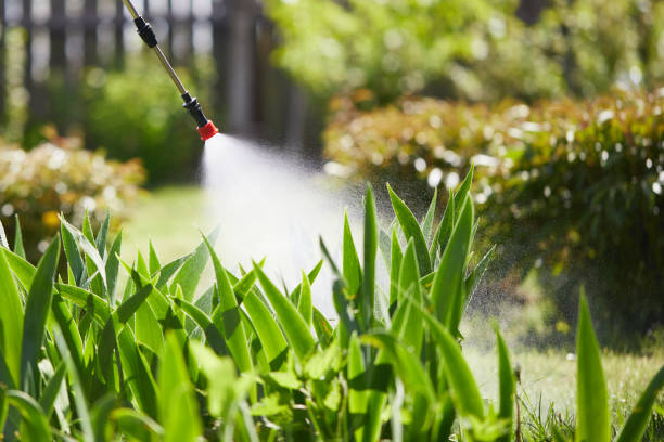Tamper-Resistant Bait Stations for Rodents in Bayou Gauche