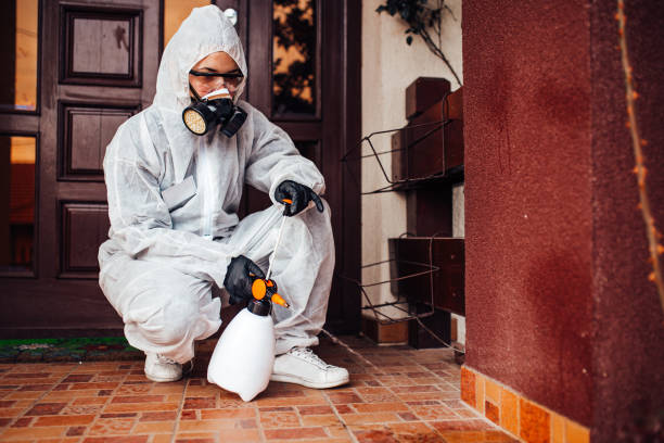 Attic and Crawl Space Rodent Treatment in Bayou Gauche
